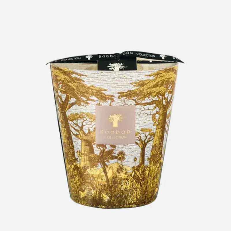 Sacred Trees Boukani 4-Wick Scented Candle, 1.1kg