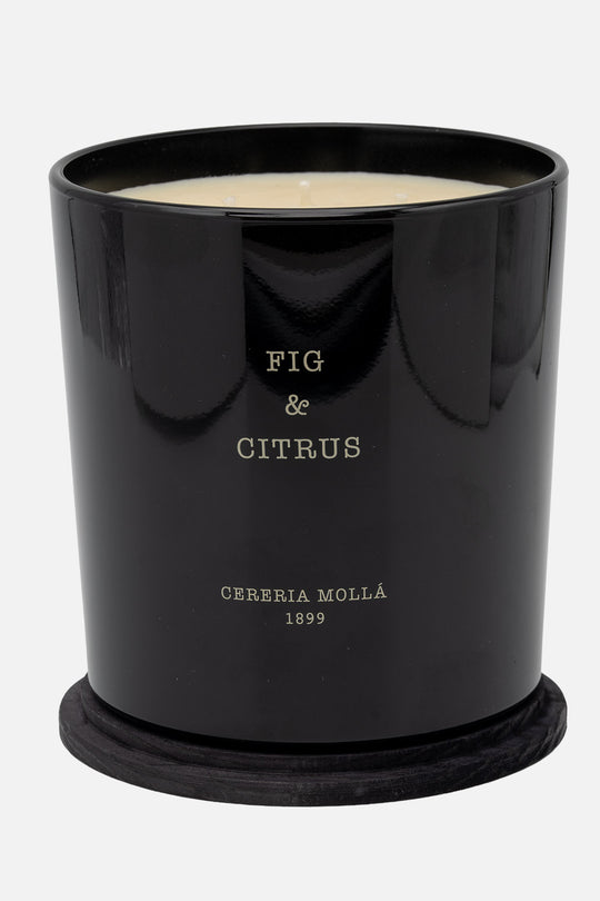 Fig & Citrus  2 Wick XL Candle, 700g