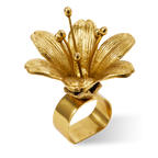 حامل مناديل ليلي