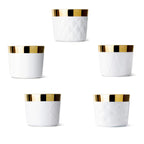 Champagne Goblet White, Rode Embossed