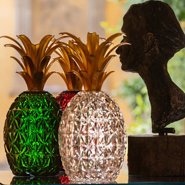 Melissa Cutlery Holder & Ice Bucket Acrylic Base Pineapple-Green