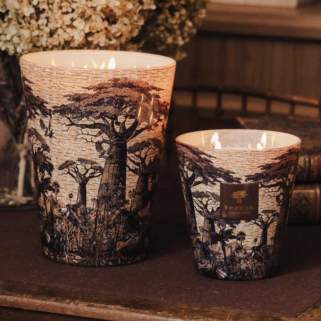 Baobab Sacred Trees Mankono Scented Candle – Max 24