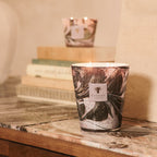 Scented Candle Leaves Manon (2.3 kg)