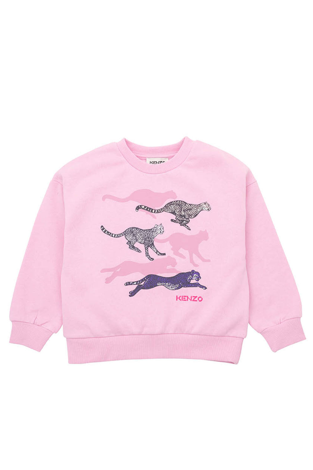 Cheetah print Sweatshirt