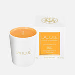 Les compositions parfumées, Sweet Amber, Scented Candle