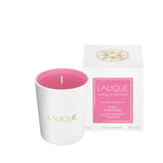 Les compositions parfumées, Pink Paradise, Scented Candle