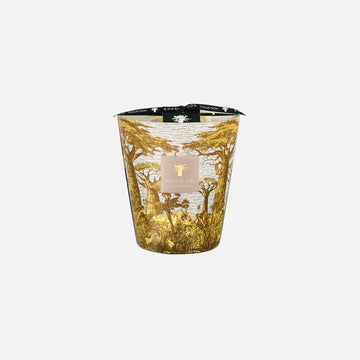 Baobab Sacred Trees Bounkani Scented Candle – Max 16