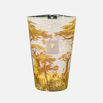Baobab Sacred Trees Bounkani Scented Candle – Max 35