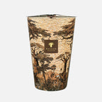 Baobab Sacred Trees Mankono Scented Candle – Max 35