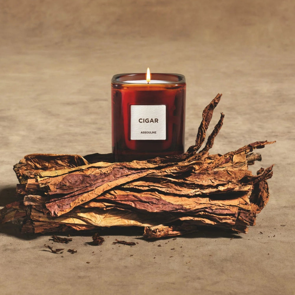 Library Cigar Scented Candle, 260g
