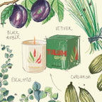 Tulum Gypset Travel From Home Candle (319 gm)