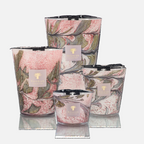 Baobab Collection Manon 5-wick scented candle in mouth-blown glass, 3kg, front view (2)