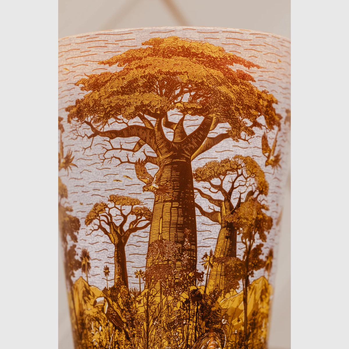 Baobab Collection Sacred Trees Bounkani 5-wick scented candle in mouth-blown glass, 3kg, styled in a room setting