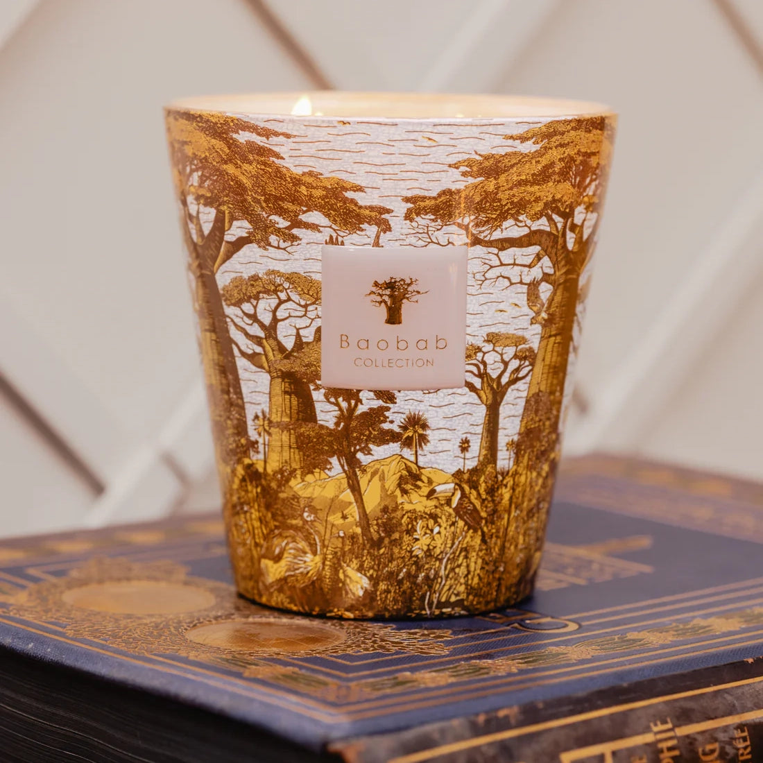 Baobab Collection Sacred Trees Bounkani 5-wick scented candle in mouth-blown glass, 3kg, viewed from above