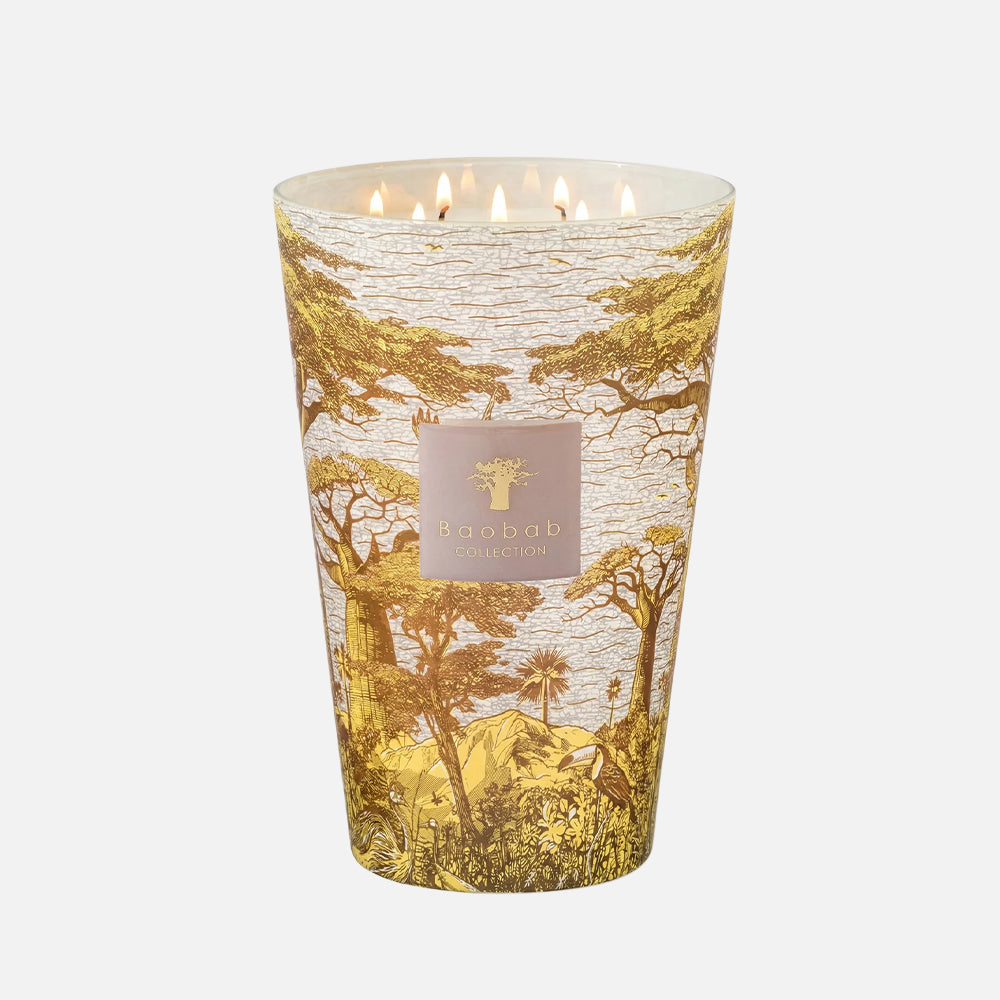 Baobab Collection Sacred Trees Bounkani 7-wick scented candle in mouth-blown glass, 6.5kg, front view