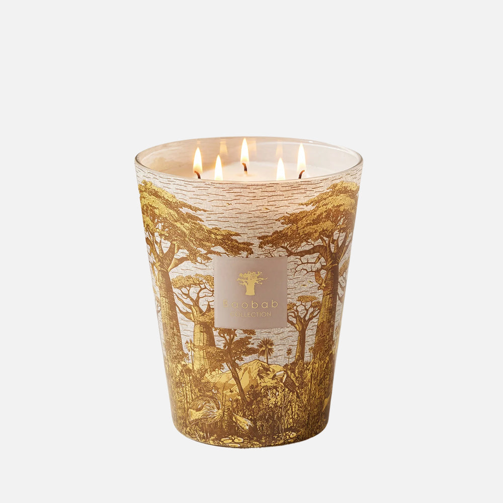 Sacred Trees Bounkani 5-Wick Scented Candle, 3kg