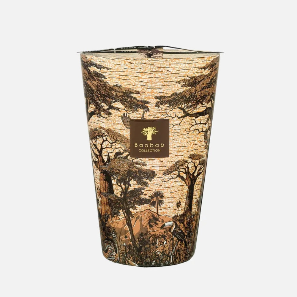 Baobab Collection Sacred Trees Mankono 7-wick scented candle in mouth-blown glass, 6.5kg, front view