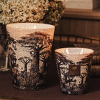 Baobab Collection Sacred Trees Mankono 7-wick scented candle in mouth-blown glass, 6.5kg, styled in a room setting (4)