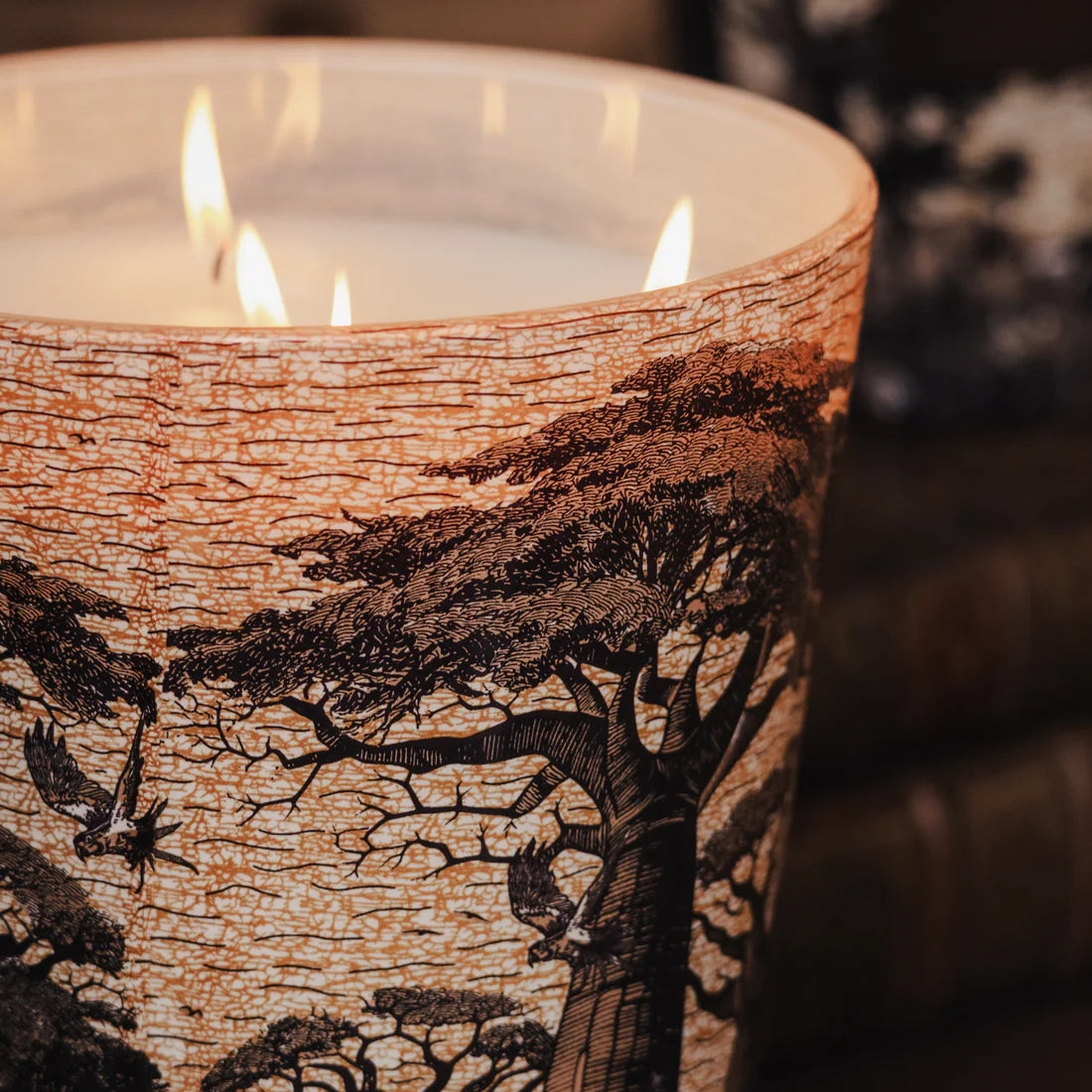 Sacred Trees Mankono 7-Wick Scented Candle, 6.5kg