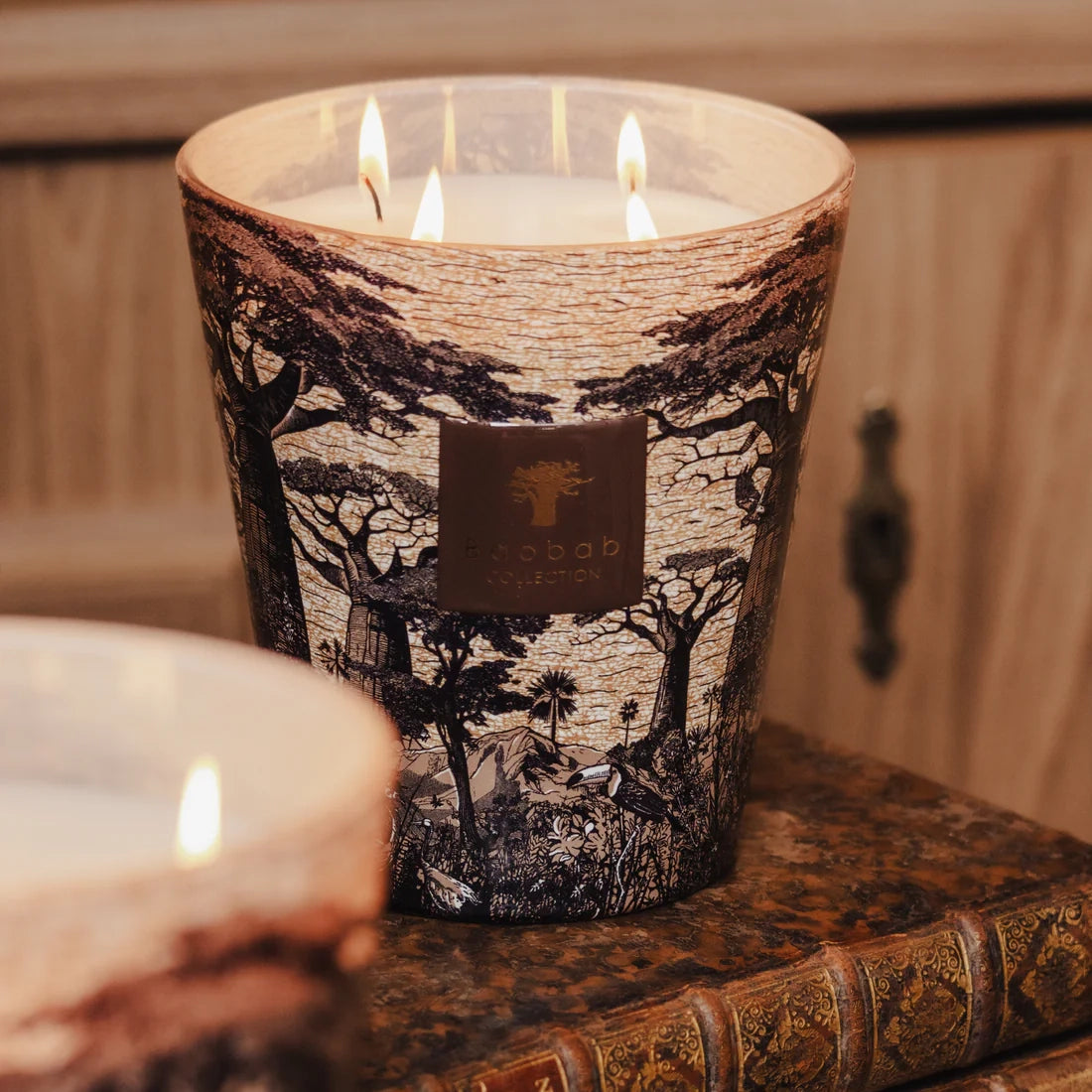 Sacred Trees Mankono 7-Wick Scented Candle, 6.5kg