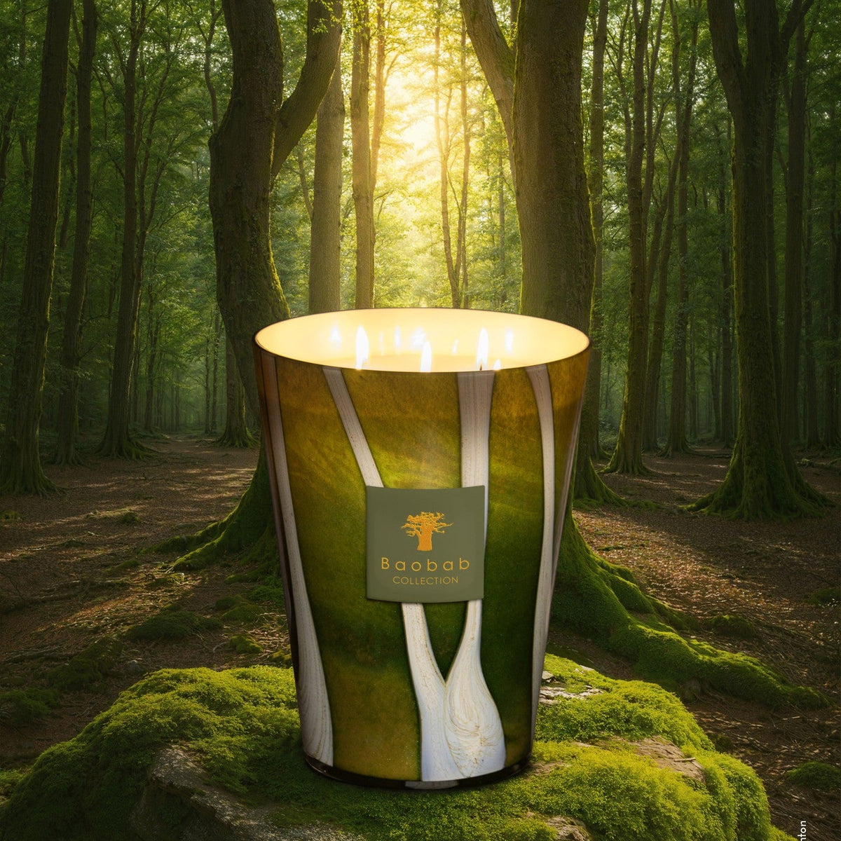 Baobab Collection Sherwood Woods 7-wick scented candle in mouth-blown glass, 6.5kg, detail view