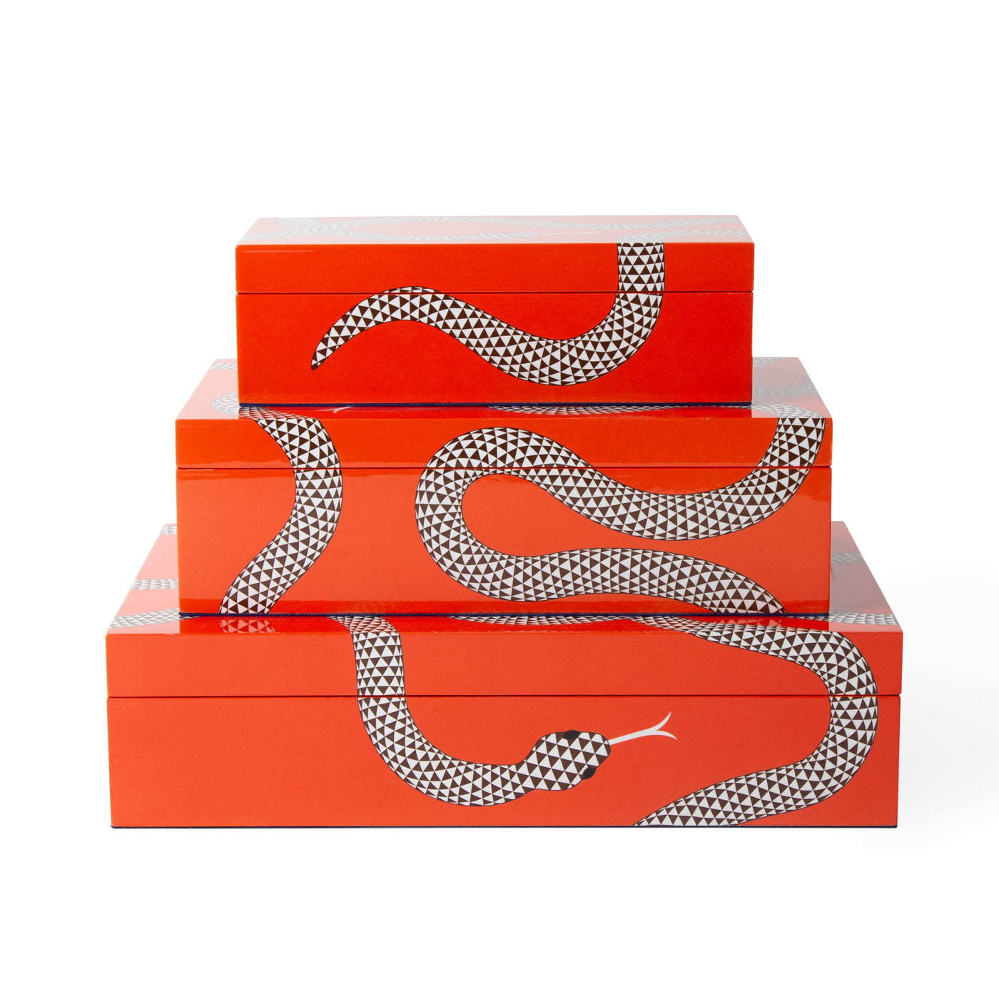Small Eden Lacquer Box - Serpent Design Storage Decor
