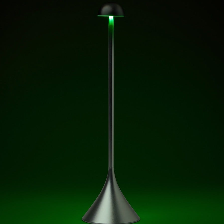 Steli Dome Protable LED Table Lamp, Silver