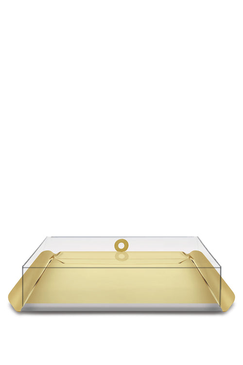 Plexiglass Cover Box For Medium Tray